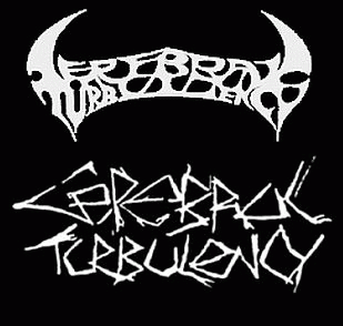 logo Cerebral Turbulency
